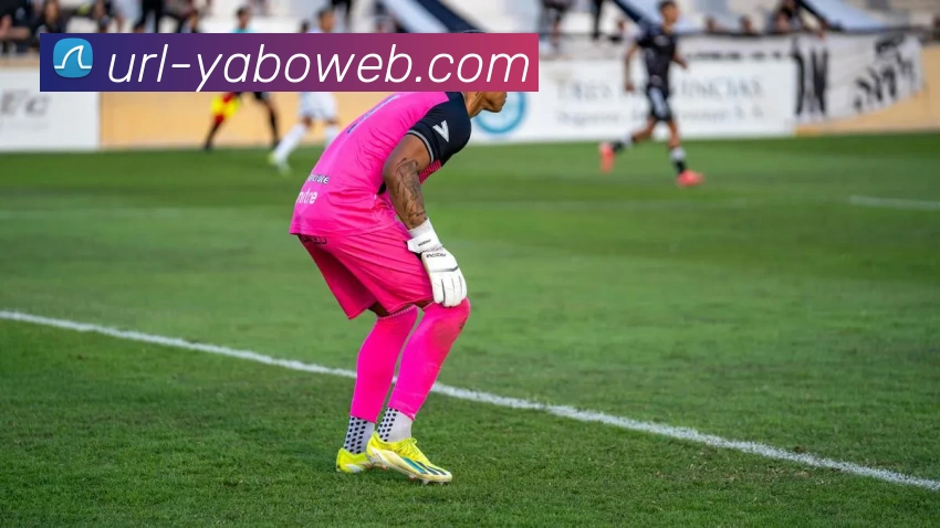 亚博体育APP 体育赛事宣传图